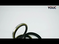 Noir DKBI DKB Sceaux de poussière d'huile Sceaux de poussière de cylindre hydraulique NBR Sceaux d'essuie-glace en PU